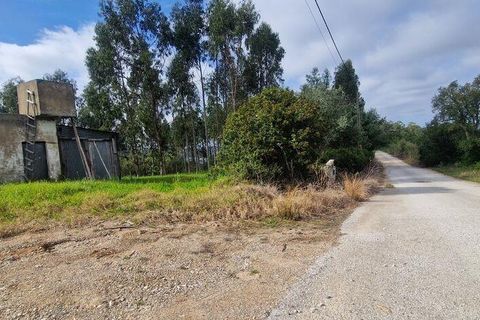 Terra a Mafra, Lisbon, Mafra - € 169.000 | Ref: 115448 - foto 12