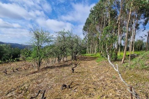 Terra a Mafra, Lisbon, Mafra - € 169.000 | Ref: 115448 - foto 18
