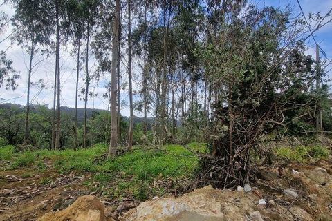 Terra a Mafra, Lisbon, Mafra - € 169.000 | Ref: 115448 - foto 19