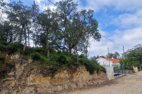 Terra a Mafra, Lisbon, Mafra - € 169.000 | Ref: 115448 - foto 20