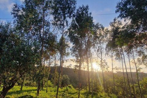 Terra a Mafra, Lisbon, Mafra - € 169.000 | Ref: 115448 - foto 21