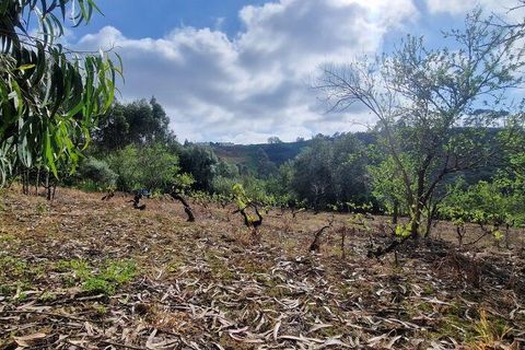 Terra a Mafra, Lisbon, Mafra - € 169.000 | Ref: 115448 - foto 23