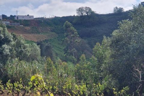 Terra a Mafra, Lisbon, Mafra - € 169.000 | Ref: 115448 - foto 24