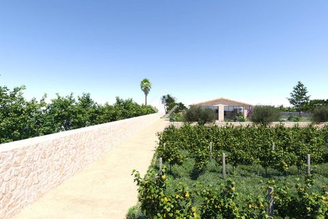 Villa i Llucmajor, Mallorca, Llucmajor - € 3.750.000 | Ref: MAL61021 - foto 15