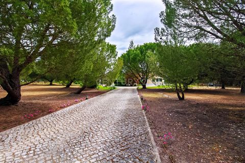 Villa i Benavente, Santarem, Benavente - € 1.500.000 | Ref: C0222-04962 - foto 4