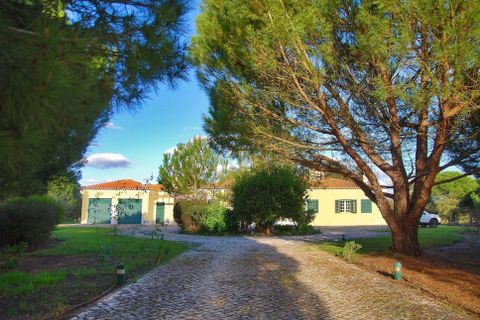 Villa i Benavente, Santarem, Benavente - € 1.500.000 | Ref: C0222-04962 - foto 5