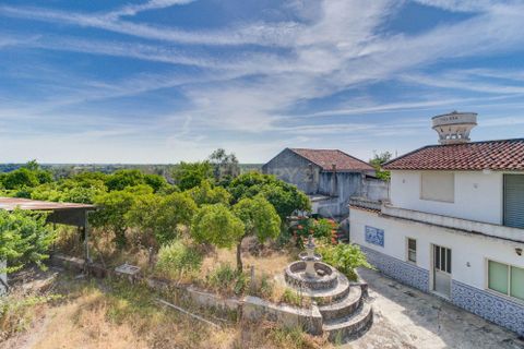 Villa a Nisa, Portalegre, Nisa - € 280.000 | Ref: C0222-05526 - foto 6