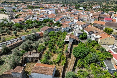 Villa a Nisa, Portalegre, Nisa - € 280.000 | Ref: C0222-05526 - foto 11