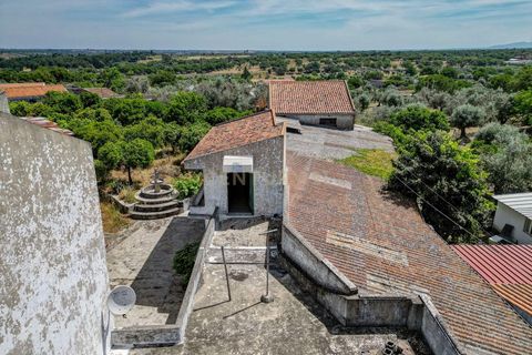 Villa a Nisa, Portalegre, Nisa - € 280.000 | Ref: C0222-05526 - foto 15