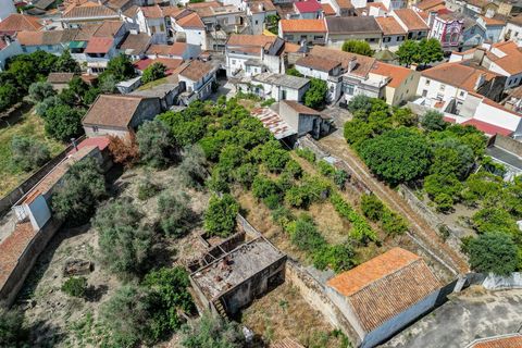 Villa a Nisa, Portalegre, Nisa - € 280.000 | Ref: C0222-05526 - foto 18