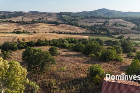 Landejendom i Capalbio, Grosseto, Capalbio - € 690.000 | Ref: v-0103 - foto 15