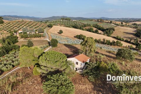 Landejendom i Capalbio, Grosseto, Capalbio - € 690.000 | Ref: v-0103 - foto 17