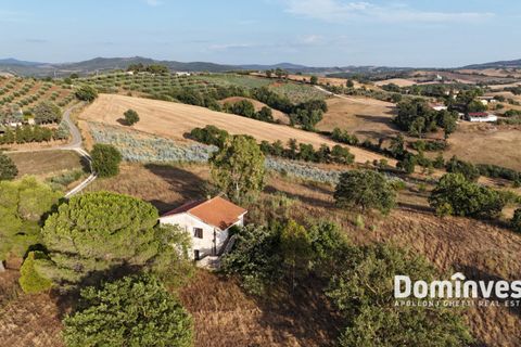 Landejendom i Capalbio, Grosseto, Capalbio - € 690.000 | Ref: v-0103 - foto 18