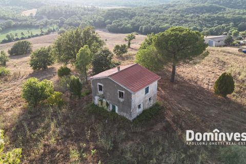 Landejendom i Capalbio, Grosseto, Capalbio - € 690.000 | Ref: v-0103 - foto 2