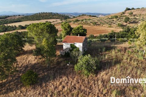 Landejendom i Capalbio, Grosseto, Capalbio - € 690.000 | Ref: v-0103 - foto 3