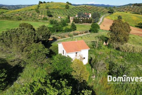 Landejendom i Capalbio, Grosseto, Capalbio - € 690.000 | Ref: v-0103 - foto 5