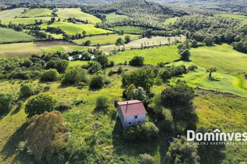 Landejendom i Capalbio, Grosseto, Capalbio - € 690.000 | Ref: v-0103 - foto 7