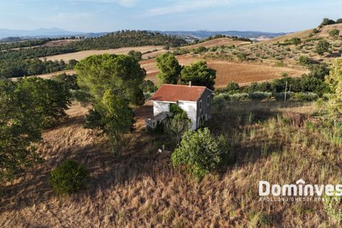 Landejendom i Capalbio, Grosseto, Capalbio - € 690.000 | Ref: v-0103 - foto 8