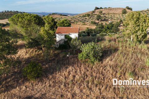 Landejendom i Capalbio, Grosseto, Capalbio - € 690.000 | Ref: v-0103 - foto 9