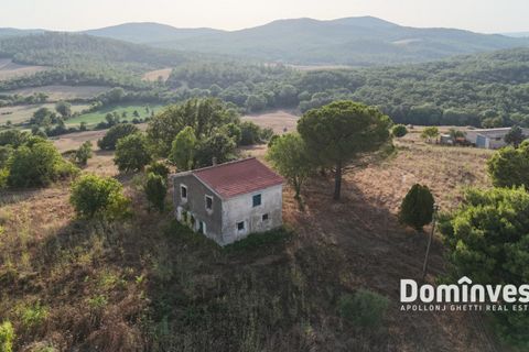 Landejendom i Capalbio, Grosseto, Capalbio - € 690.000 | Ref: v-0103 - foto 11
