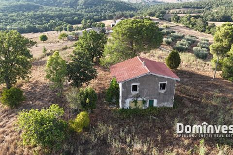 Landejendom i Capalbio, Grosseto, Capalbio - € 690.000 | Ref: v-0103 - foto 14