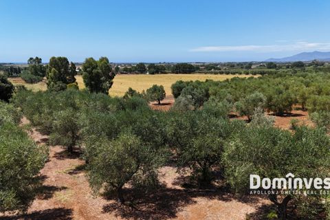 Landejendom i Capalbio, Grosseto, Capalbio - € 2.800.000 | Ref: V-190 - foto 14