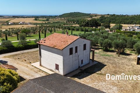 Landejendom i Capalbio, Grosseto, Capalbio - € 1.200.000 | Ref: v-191 - foto 4