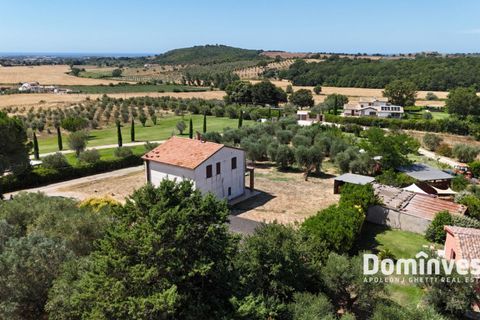 Landejendom i Capalbio, Grosseto, Capalbio - € 1.200.000 | Ref: v-191 - foto 5