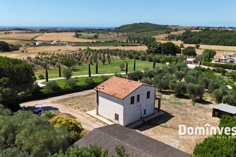 Landejendom i Capalbio, Grosseto, Capalbio - € 1.200.000 | Ref: v-191 - foto 6