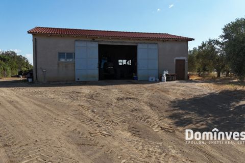 Landejendom i Capalbio, Grosseto, Capalbio - € 600.000 | Ref: v-192 - foto 3