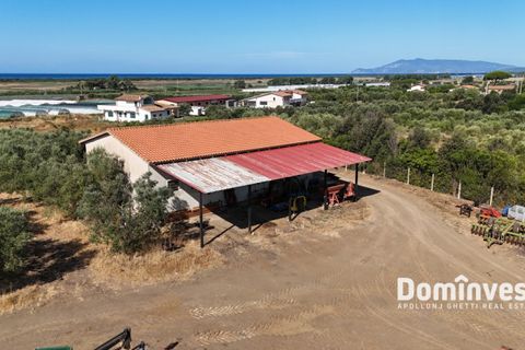 Landejendom i Capalbio, Grosseto, Capalbio - € 600.000 | Ref: v-192 - foto 4