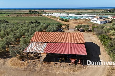 Landejendom i Capalbio, Grosseto, Capalbio - € 600.000 | Ref: v-192 - foto 5