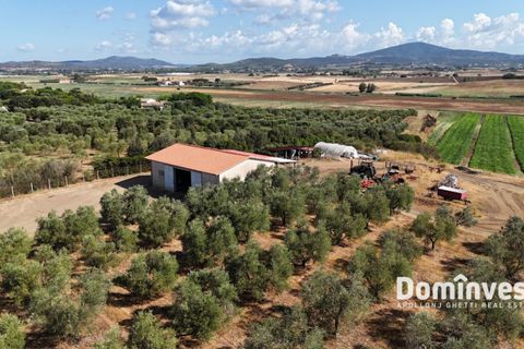 Landejendom i Capalbio, Grosseto, Capalbio - € 600.000 | Ref: v-192 - foto 7