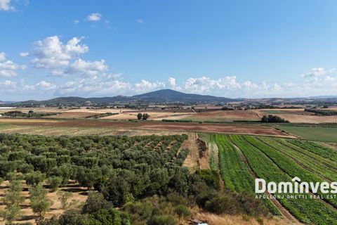 Landejendom i Capalbio, Grosseto, Capalbio - € 600.000 | Ref: v-192 - foto 8