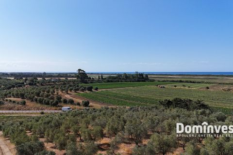 Landejendom i Capalbio, Grosseto, Capalbio - € 600.000 | Ref: v-192 - foto 10