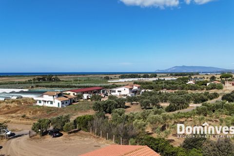 Landejendom i Capalbio, Grosseto, Capalbio - € 600.000 | Ref: v-192 - foto 11