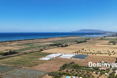Landejendom i Capalbio, Grosseto, Capalbio - € 600.000 | Ref: v-192 - foto 12