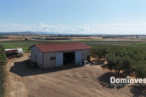 Landejendom i Capalbio, Grosseto, Capalbio - € 600.000 | Ref: v-192 - foto 1
