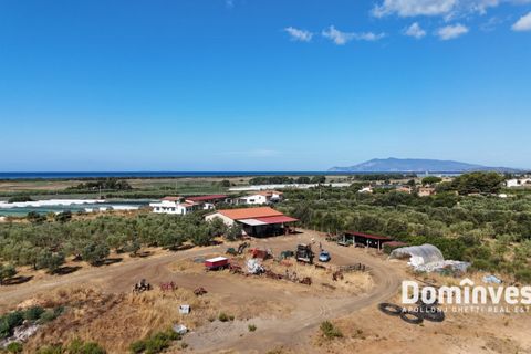 Landejendom i Capalbio, Grosseto, Capalbio - € 600.000 | Ref: v-192 - foto 2