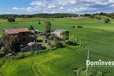 Landejendom i Capalbio, Grosseto, Capalbio - € 340.000 | Ref: v-193 - foto 11