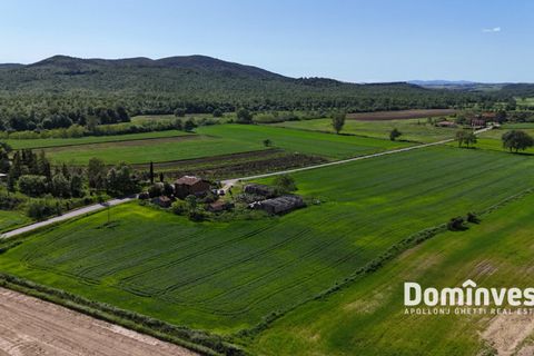 Landejendom i Capalbio, Grosseto, Capalbio - € 340.000 | Ref: v-193 - foto 6