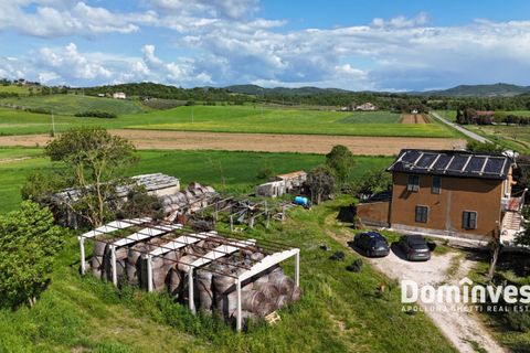 Landejendom i Capalbio, Grosseto, Capalbio - € 340.000 | Ref: v-193 - foto 9
