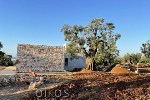Villa a Carovigno, Brindisi, Carovigno - € 1.350.000 | Ref: V803 - foto 8