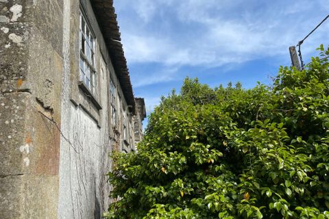 Farm hus i Serrazes, Viseu, Serrazes - € 185.000 | Ref: C0406-01530 - foto 4