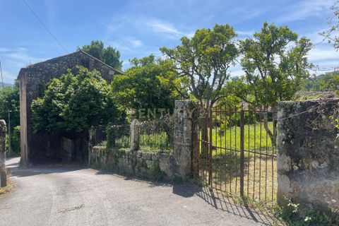 Farm hus i Serrazes, Viseu, Serrazes - € 185.000 | Ref: C0406-01530 - foto 5