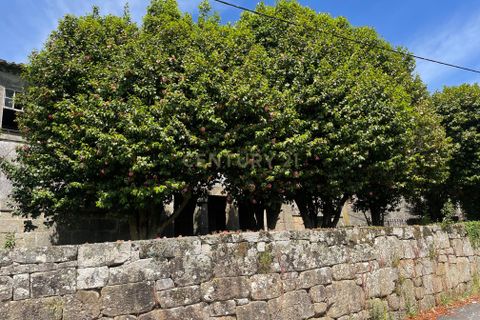Farm hus i Serrazes, Viseu, Serrazes - € 185.000 | Ref: C0406-01530 - foto 7