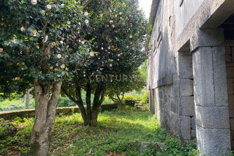 Farm hus i Serrazes, Viseu, Serrazes - € 185.000 | Ref: C0406-01530 - foto 10