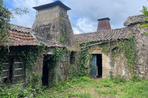 Farm hus i Serrazes, Viseu, Serrazes - € 185.000 | Ref: C0406-01530 - foto 20