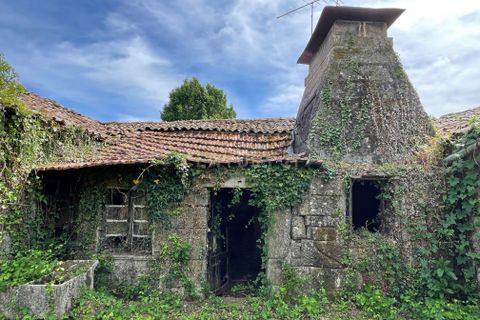 Farm hus i Serrazes, Viseu, Serrazes - € 185.000 | Ref: C0406-01530 - foto 21