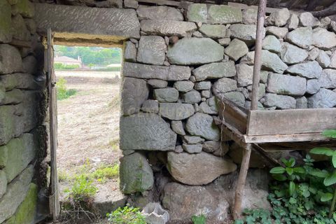 Farm hus i Serrazes, Viseu, Serrazes - € 185.000 | Ref: C0406-01530 - foto 41